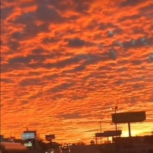 Meet your Posher, Trevor